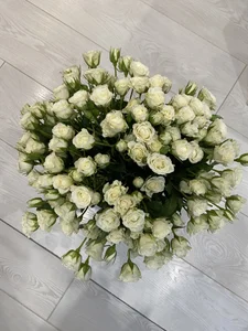 My love for flowers od LindsieGreyy  5 snímek