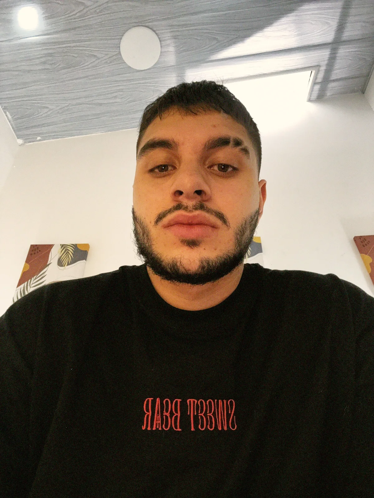 Amadeo_Wild Image populaire  2347