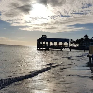 thenaugthyprofesor FOTOS - PHOTOS Pic 5