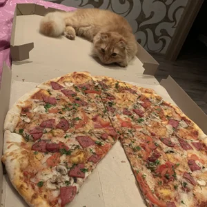 NastyushaaLove me and my beloved Evrik😼 Pic 7