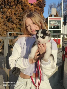 AnastasiaAniess ❤️welcome to the dysfunctional family LEYLA ❤️ Pic 2