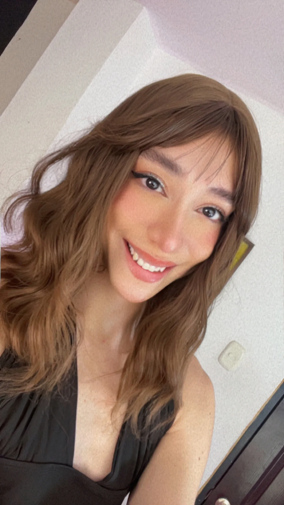 Aria_montgomeri Gambar Trending 2388