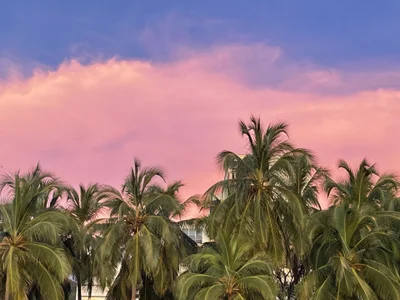 How beautiful nature is🌎 de AresMassimoX  photos