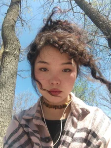 Public de wastforu  Imagens