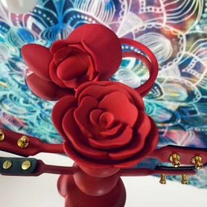 TheEpiphany My toys Pic