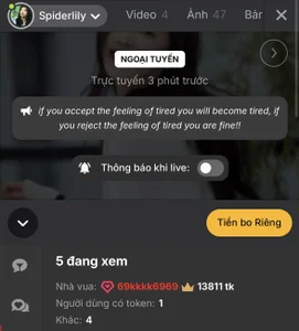 SpiderIily Beacon Immagine  5