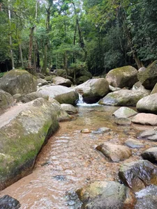 xt6601 Public Bilde 4