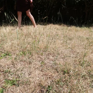 yulladao herbes hautes Pic 5