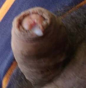 silvio-aus-luzern-CH silvioausluzernCH  9. fénykép