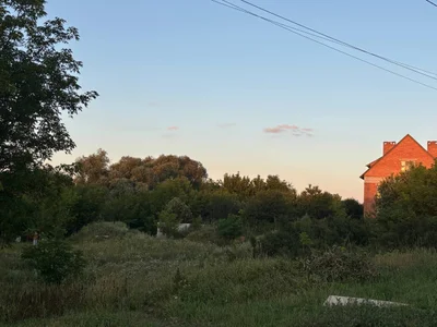 nikole_kitt How beautiful the world is 😍 Pic 2