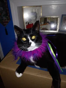 hello de sunnydude255 Foto 5