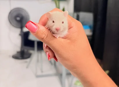 AllisonCherris Randoms🩷 Foto 4