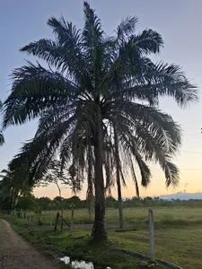 jack_karson 🌻🌈🌄🏞🏕🌇 รูป  4