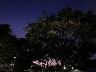 Velvet_Dreamss 🌸🌸🌸🌸🌸 Kuva 2