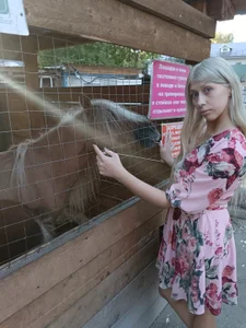 KyliePagFavorite animals Bild