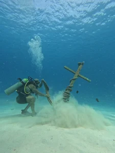 Andrew_Johnnson Mar Εικόνα 7