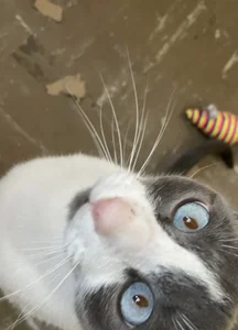 Damian_latinxxxDamián🔥图片 9