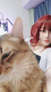 hazuki_8008 うちの猫ちゃんたちと Pic