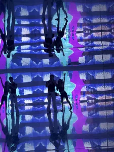 bondedbyskin US Poză 4