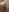 Lo-li-ta's photo