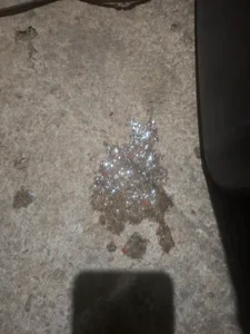 Zdjęcia PUNHETAESCONDIDA COLEÇÃO DE GOZO SKKSKSKSK: 