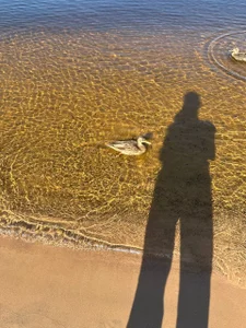 ZlatoslavaLoのmy lifeの 4枚の写真