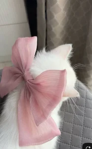 AmeliaMiles Public Foto 5