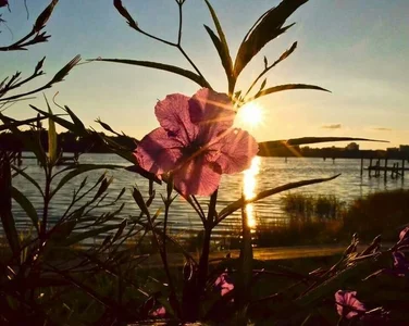 Girl😜 de HOT_LATINA20  Imagens