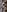 Li_noen's photo
