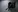EdlinDarter's photo