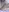 MeowMeowZoe's photo