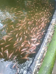 HannahEmmax2 In nature 🥰 Pic 8