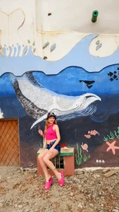 Vanessa_Norris 🐬🐬🐬 Immagine  2