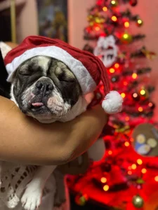 jimenamime Lo mejor de mi vida ELLA 💕🐾 Pic