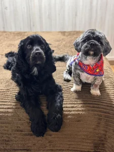 shanabellucyのmy life in picsの 4枚の写真