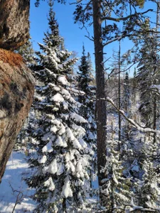 Phoenix_Margoのtravel vlogの 7枚の写真