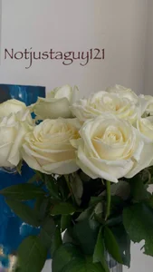 Alexa_Girl1 flowers (*¯︶¯*) صورة واحدة|Alexa_Girl1 flowers (*¯︶¯*) صورتان|Alexa_Girl1 flowers (*¯︶¯*)  6 صور|Alexa_Girl1 flowers (*¯︶¯*)  6 صورة