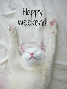 MelissaMelrey 🤍 Foto