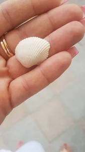 Sweet Vacation de LuckySara  2 Imagens