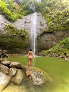 Danii-420 Public Gambar 3