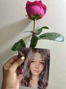 I love roses so much de lovee_megan  9 photos