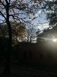 Dollar-girl 💋 Rest Tuesday 💫 صورة واحدة|Dollar-girl 💋 Rest Tuesday 💫 صورتان|Dollar-girl 💋 Rest Tuesday 💫  2 صور|Dollar-girl 💋 Rest Tuesday 💫  2 صورة