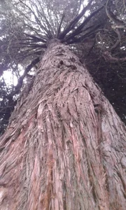 TommhotのNatureの 7枚の写真