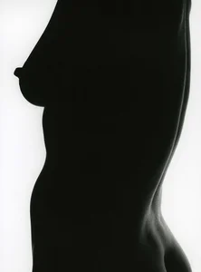 PalinchikのPublicの枚の写真