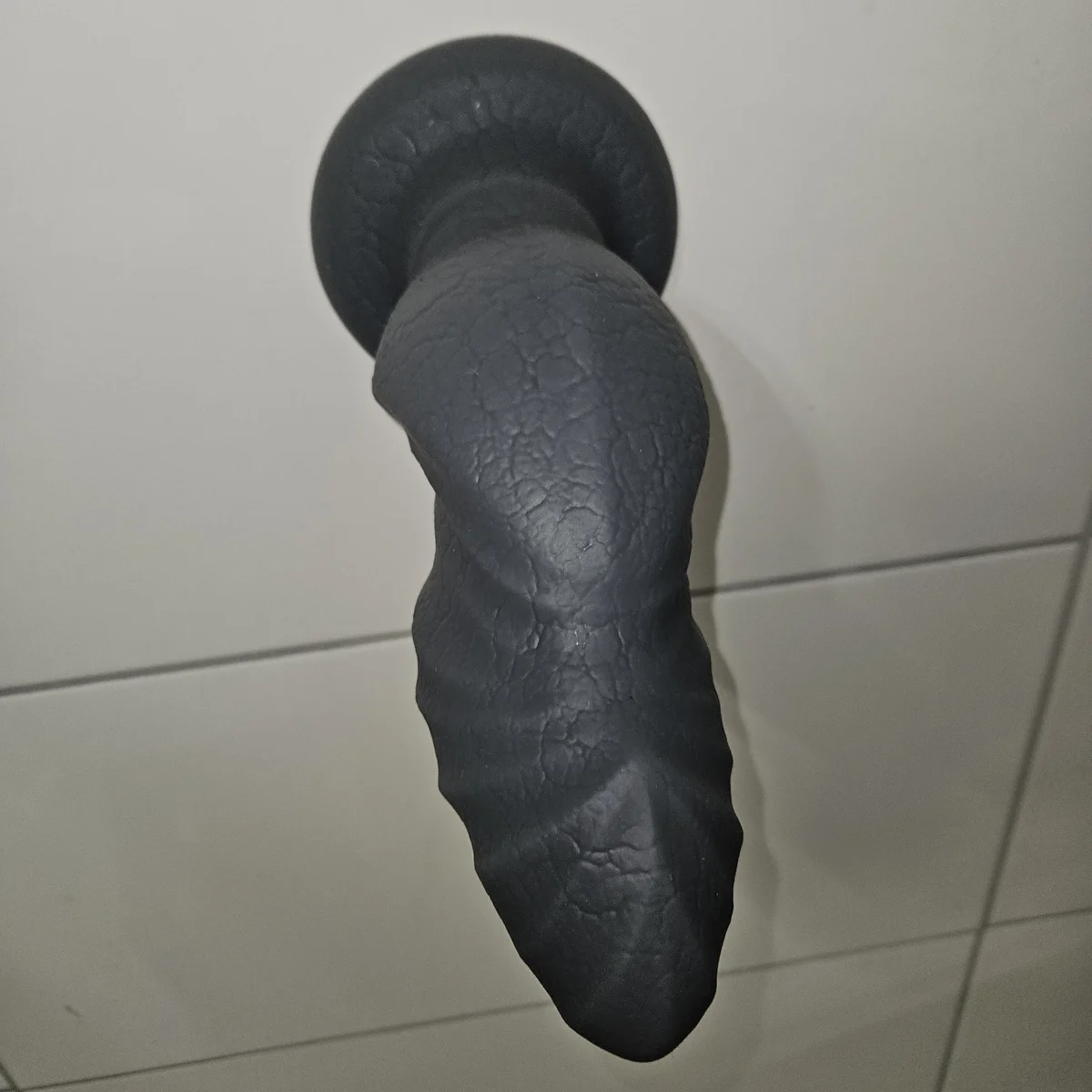 Povanal Právě oblíbené foto 4079