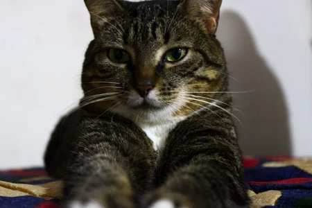 Daiisy_kiss: Our love ( 2 фото)