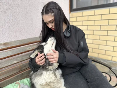 Sofia_Plump dog shelter Pic 5