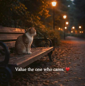 Gorgeous_Sarahh: Public ( 2 фото)