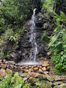 Vacations de lorna_cox_bdsm Foto 7