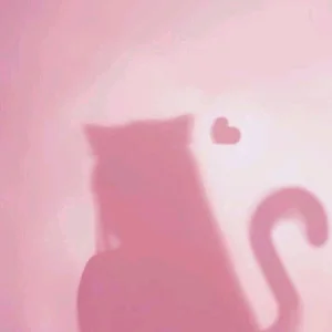 Public de kittyxexx  photos